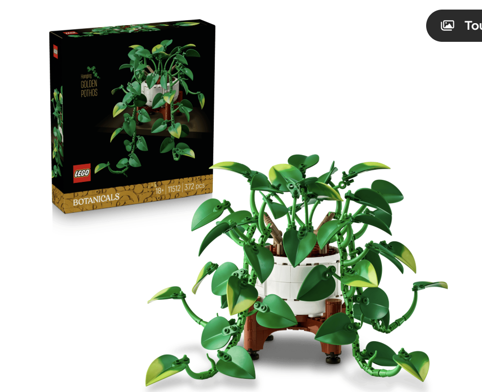 Lego - pothos doré tombant